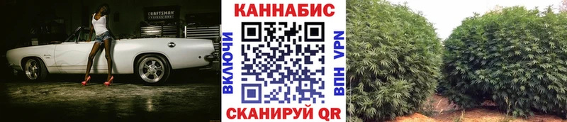 Виды наркотиков купить Чкаловск Бошки Шишки  СК  АМФЕТАМИН  ГАШИШ  Меф  COCAIN 