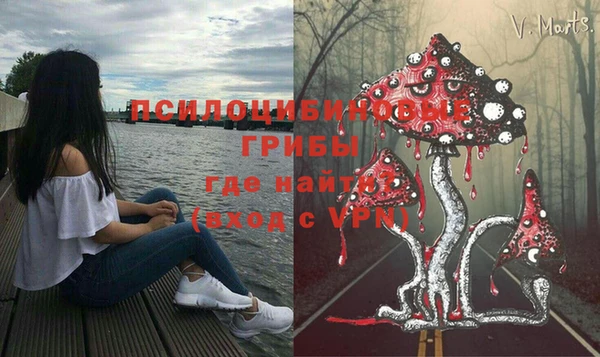 гидра Нязепетровск