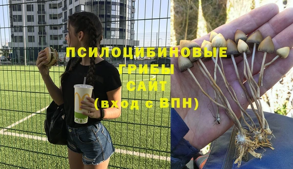 дживик Абинск