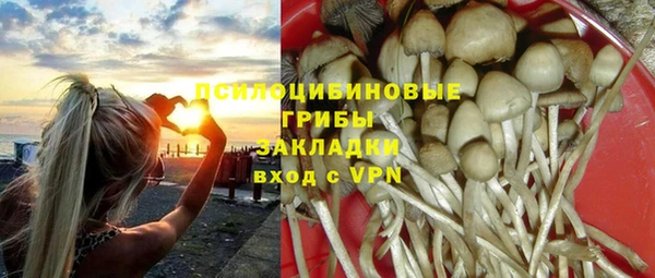 мяу мяу мука Абдулино
