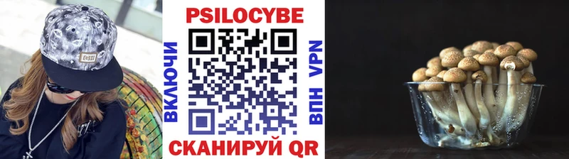 где найти   МЕГА ССЫЛКА  Псилоцибиновые грибы Psilocybe  Чкаловск 