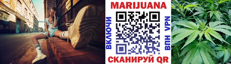 hydra tor  наркота  Чкаловск  Марихуана сатива 